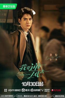 桓台seo优化工具